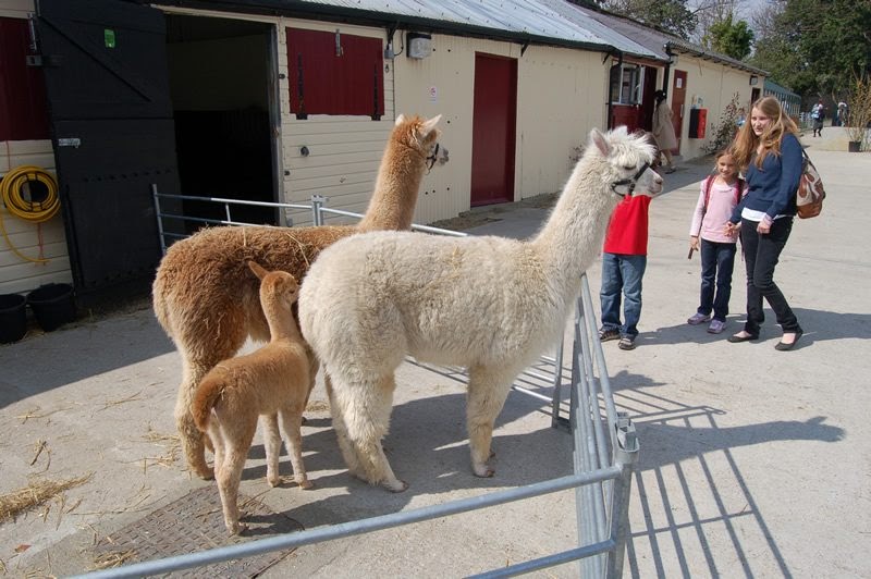 Greater London, Croydon, Park Farm