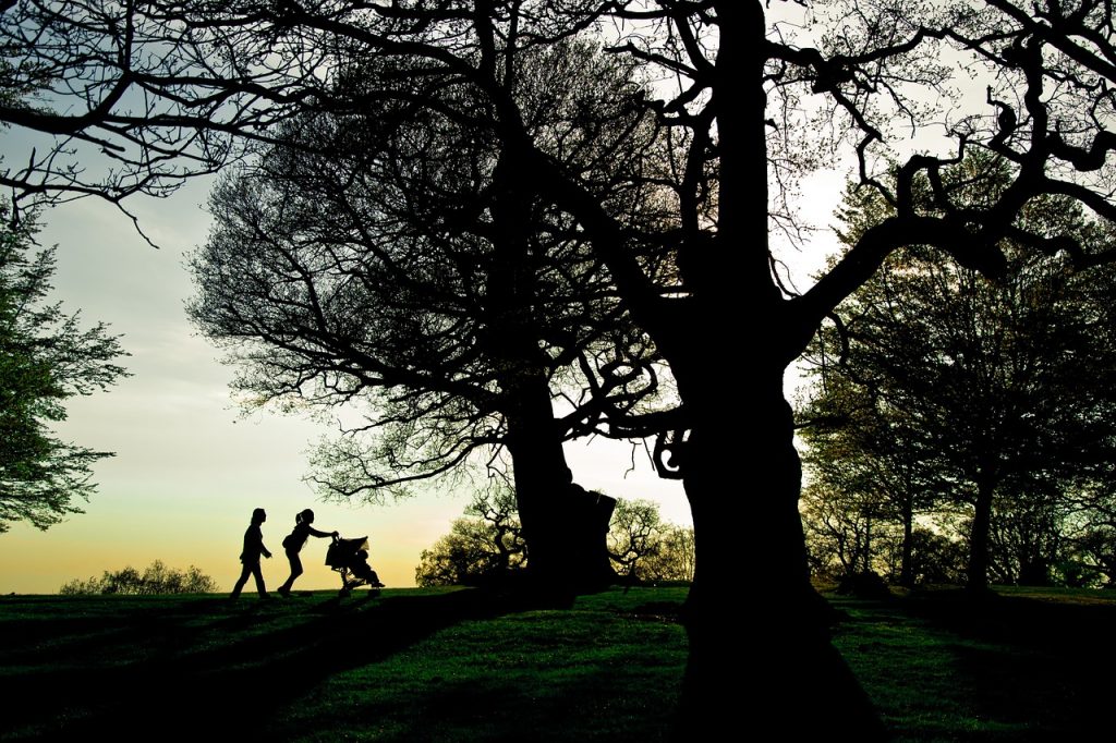 Parks in London - Richmond