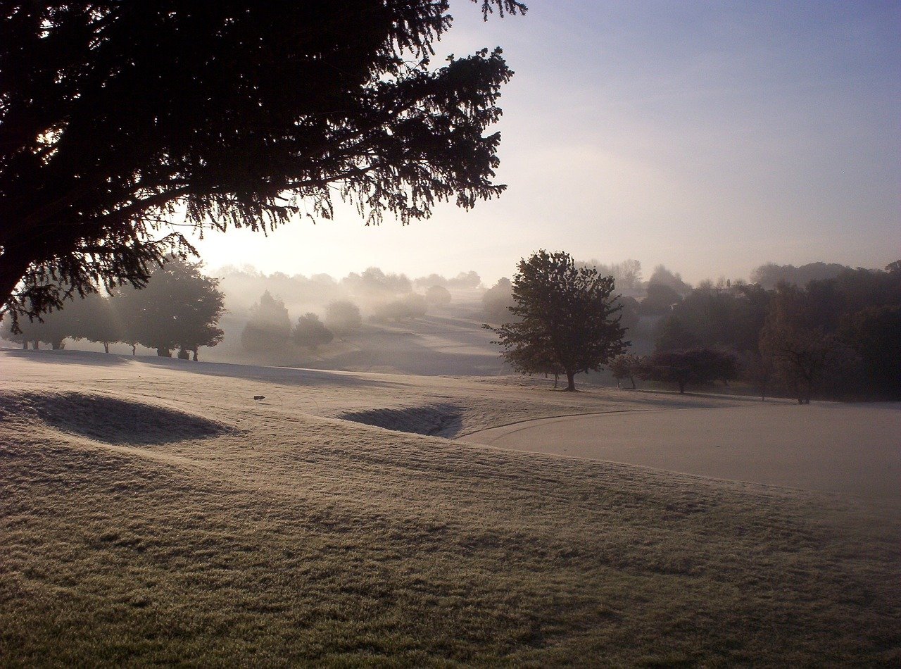 Purley Downs